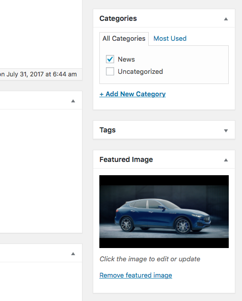 Wordpress中文章的特色图像Featured Image究竟存在哪里?插图 Wordpress中文章的特色图像Featured Image究竟存在哪里?插图