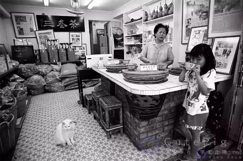 73岁沙示,广州人的风油精?这才是广州人的网红饮料插图9 73岁沙示,广州人的风油精?这才是广州人的网红饮料插图9