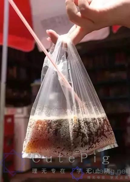 73岁沙示,广州人的风油精?这才是广州人的网红饮料插图24 73岁沙示,广州人的风油精?这才是广州人的网红饮料插图24