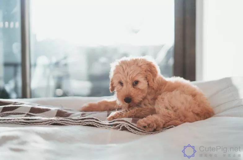 精辟到噎死人的语录,太经典了!插图1 精辟到噎死人的语录,太经典了!插图1