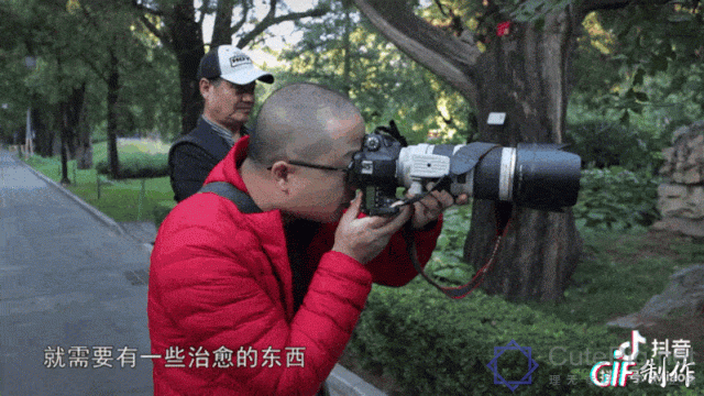 中国拍猫第一人：被央视点赞，走遍全国拍猫6年，拍下4万多张“猫片”，网友：太治愈了插图35