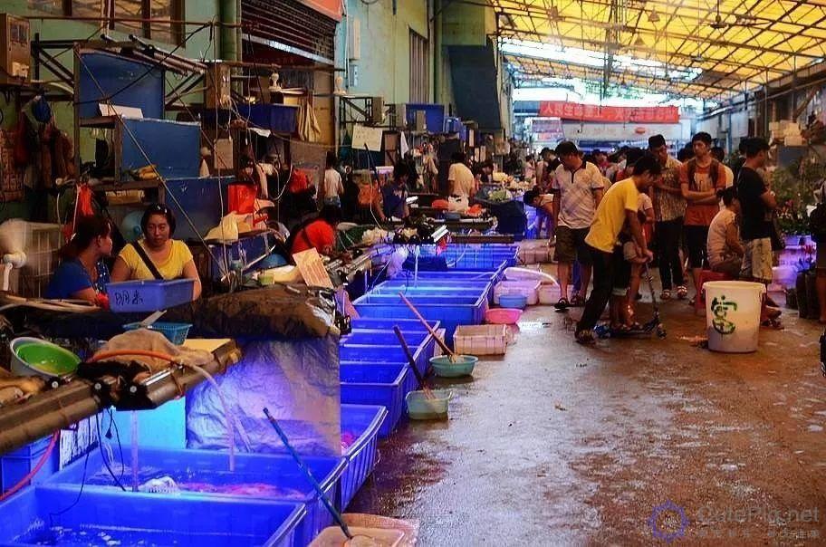 广州,一座正在消失的城市!这些东西以后有钱也未必看得到......插图22 广州,一座正在消失的城市!这些东西以后有钱也未必看得到......插图22