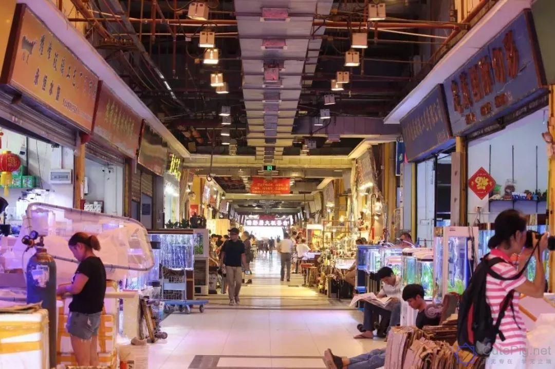 广州,一座正在消失的城市!这些东西以后有钱也未必看得到......插图23 广州,一座正在消失的城市!这些东西以后有钱也未必看得到......插图23