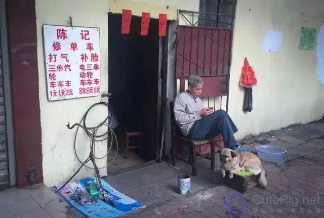 广州,一座正在消失的城市!这些东西以后有钱也未必看得到......插图65 广州,一座正在消失的城市!这些东西以后有钱也未必看得到......插图65