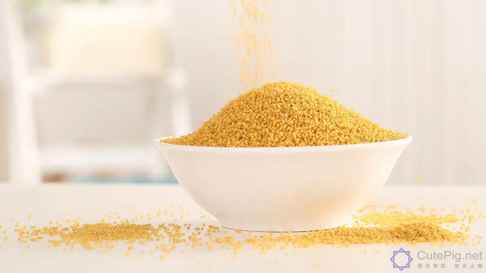 药膳|1碗小米4大功效!睡不好记忆差都适用插图1 药膳|1碗小米4大功效!睡不好记忆差都适用插图1