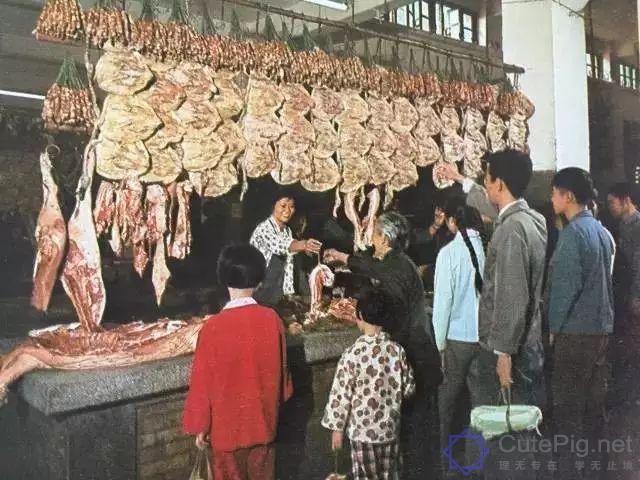 罕见老照片曝光!还原你不知道的这些越秀历史!插图16 罕见老照片曝光!还原你不知道的这些越秀历史!插图16