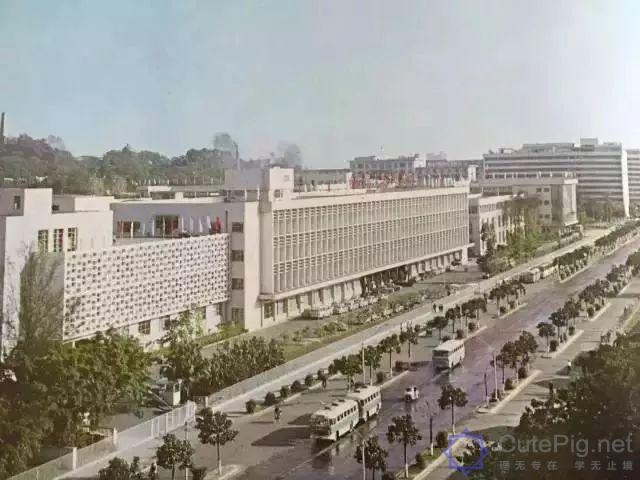 罕见老照片曝光!还原你不知道的这些越秀历史!插图15 罕见老照片曝光!还原你不知道的这些越秀历史!插图15