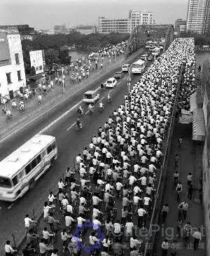 罕见老照片曝光!还原你不知道的这些越秀历史!插图32 罕见老照片曝光!还原你不知道的这些越秀历史!插图32