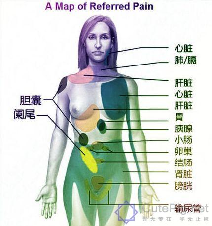 人的保质期,看完一身汗!!插图1 人的保质期,看完一身汗!!插图1