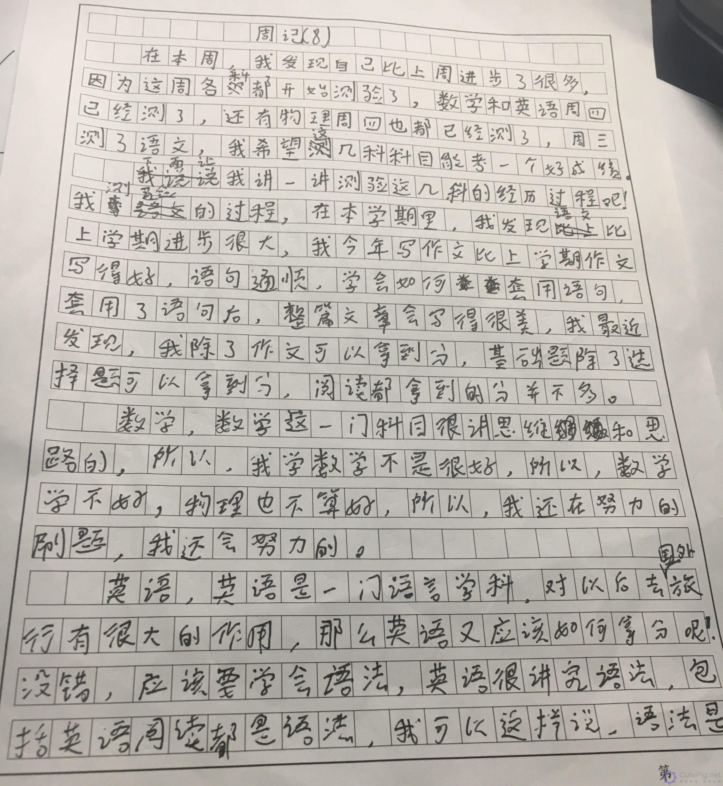 周记（8）插图
