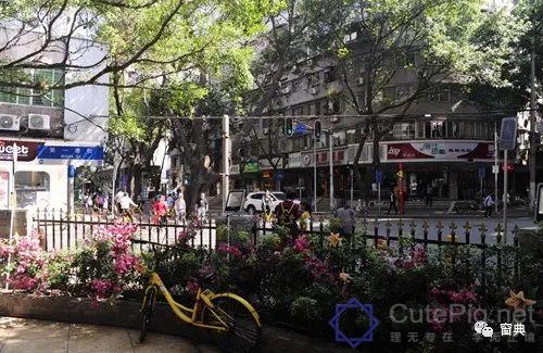 巷陌︱十八甫插图20 巷陌︱十八甫插图20