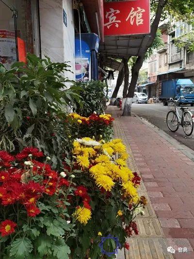 巷陌︱十八甫插图24 巷陌︱十八甫插图24