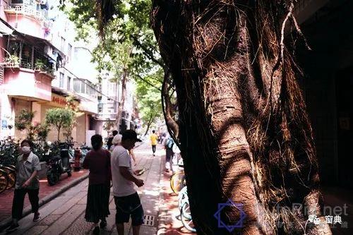 巷陌︱十八甫插图28 巷陌︱十八甫插图28