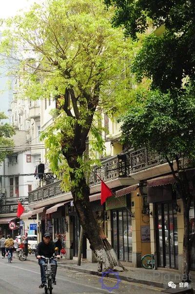 巷陌︱十八甫插图36 巷陌︱十八甫插图36