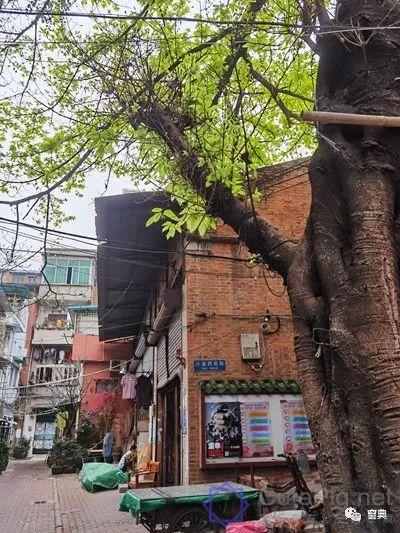 巷陌︱十八甫插图87 巷陌︱十八甫插图87