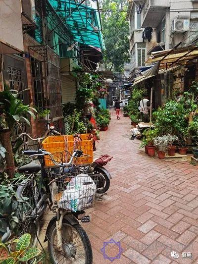 巷陌︱十八甫插图132 巷陌︱十八甫插图132