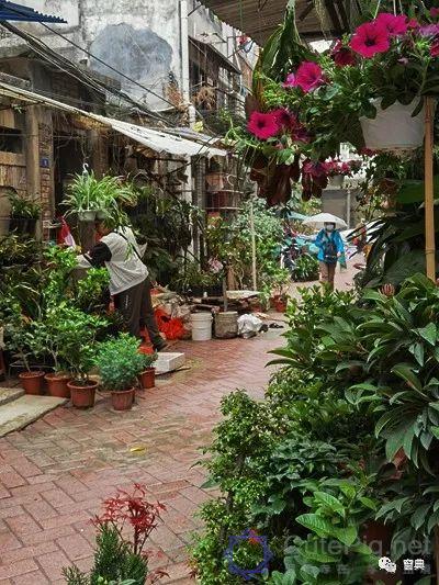 巷陌︱十八甫插图133 巷陌︱十八甫插图133