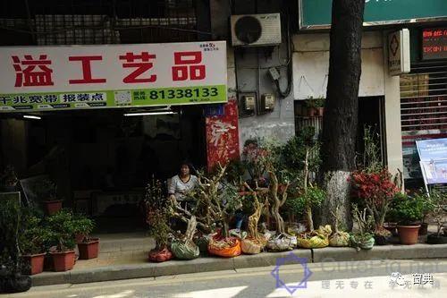 巷陌︱十八甫插图136 巷陌︱十八甫插图136