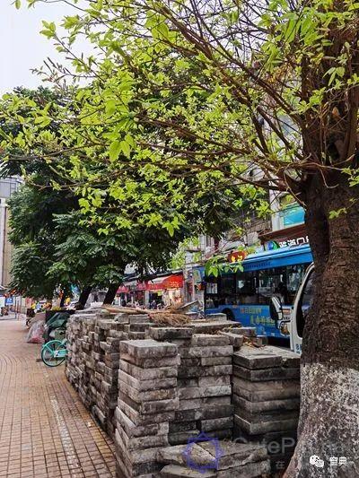 巷陌︱十八甫插图164 巷陌︱十八甫插图164