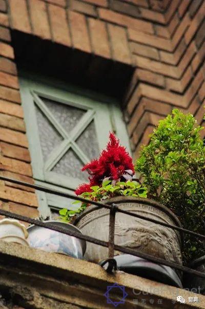 巷陌︱十八甫插图175 巷陌︱十八甫插图175