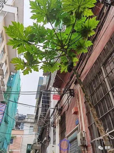 巷陌︱十八甫插图177 巷陌︱十八甫插图177