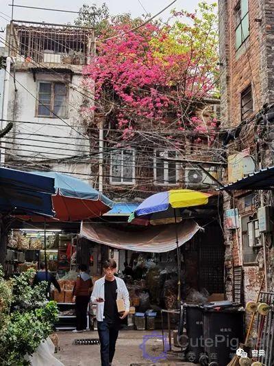 巷陌︱十八甫插图178 巷陌︱十八甫插图178