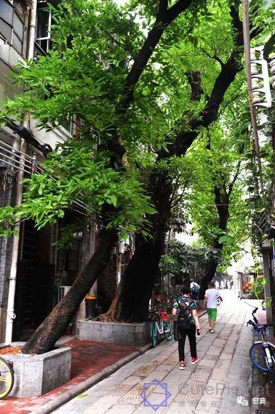 巷陌︱十八甫插图180 巷陌︱十八甫插图180