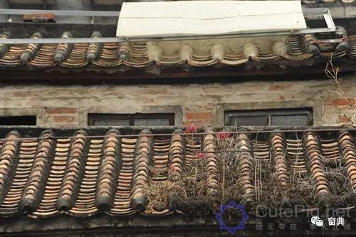 巷陌︱十八甫插图186 巷陌︱十八甫插图186