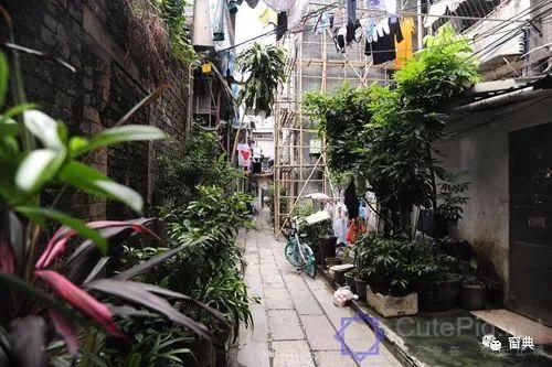 巷陌︱十八甫插图187 巷陌︱十八甫插图187