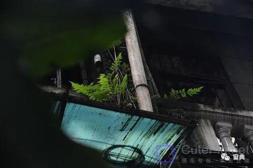 巷陌︱十八甫插图196 巷陌︱十八甫插图196