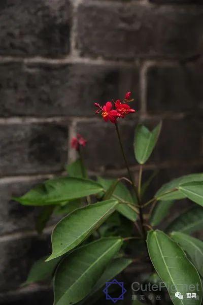 巷陌︱十八甫插图203 巷陌︱十八甫插图203