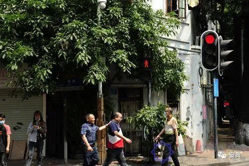 巷陌︱十八甫插图205 巷陌︱十八甫插图205