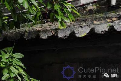 巷陌︱十八甫插图204 巷陌︱十八甫插图204