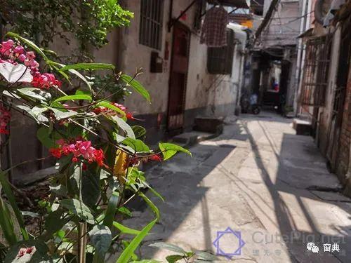 巷陌︱十八甫插图207 巷陌︱十八甫插图207