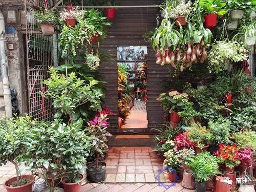 巷陌︱十八甫插图209 巷陌︱十八甫插图209