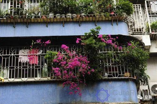 巷陌︱十八甫插图211 巷陌︱十八甫插图211