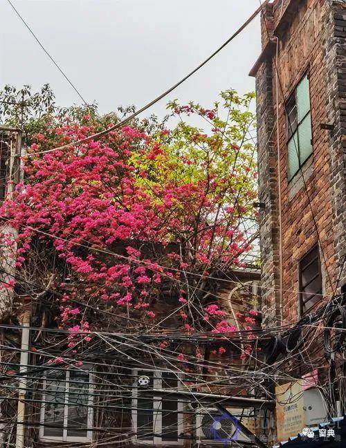 巷陌︱十八甫插图213 巷陌︱十八甫插图213