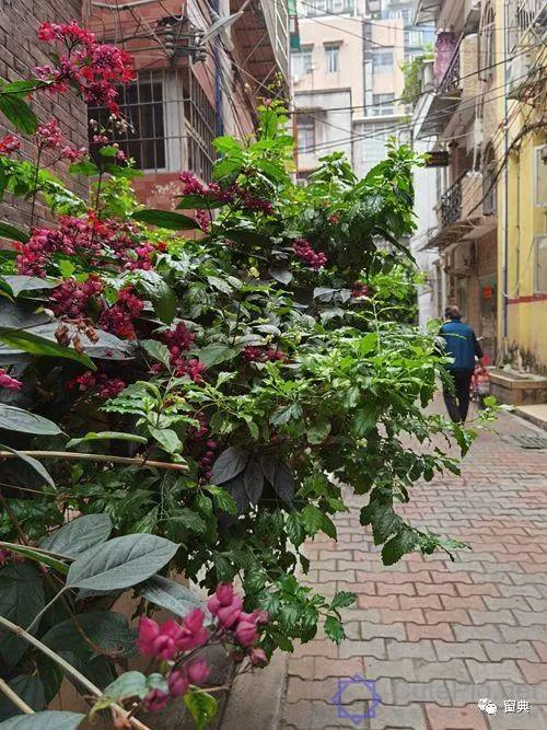 巷陌︱十八甫插图214 巷陌︱十八甫插图214