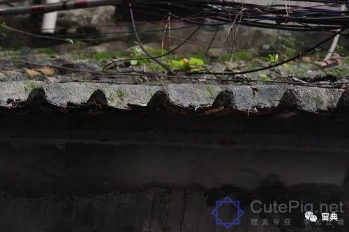 巷陌︱十八甫插图216 巷陌︱十八甫插图216