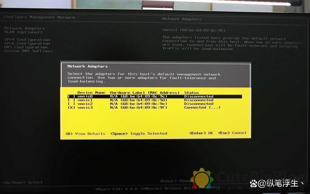 ESXi 8.0虚拟机必备知识与保姆级安装过程插图50 ESXi 8.0虚拟机必备知识与保姆级安装过程插图50