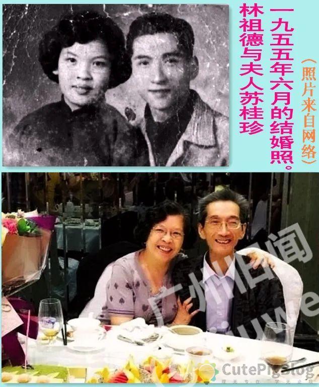 让广州西关变大样的五条“基”！插图20