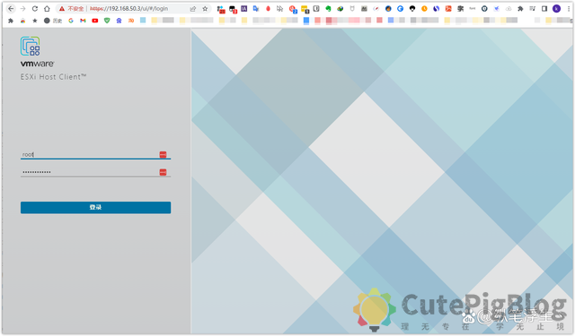 ESXi 8.0虚拟机必备知识与保姆级安装过程插图65 ESXi 8.0虚拟机必备知识与保姆级安装过程插图65