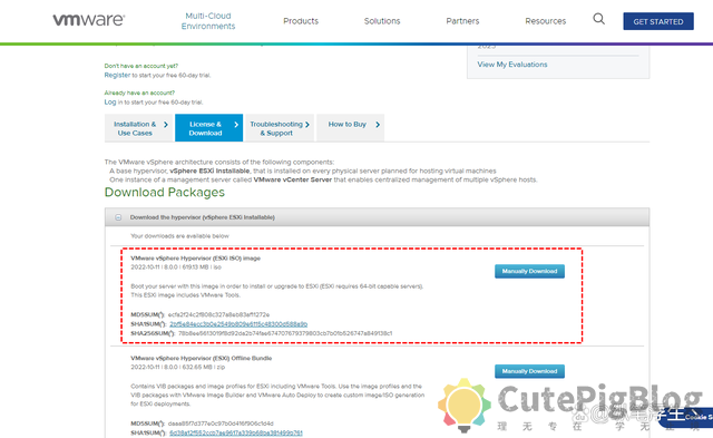 ESXi 8.0虚拟机必备知识与保姆级安装过程插图8 ESXi 8.0虚拟机必备知识与保姆级安装过程插图8