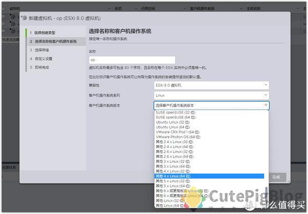 ESXi 8.0虚拟机安装openWrt 路由系统插图5