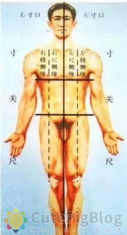 教你把脉,最全动图并心法口诀!插图6 教你把脉,最全动图并心法口诀!插图6