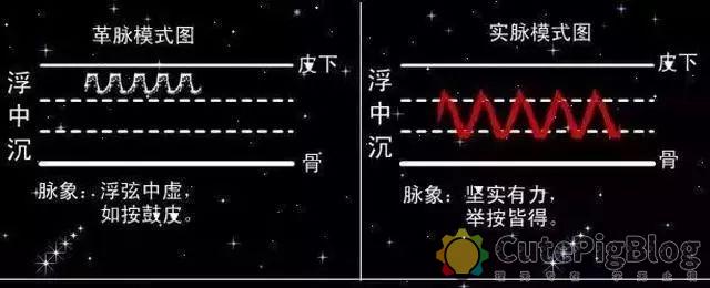 教你把脉,最全动图并心法口诀!插图35 教你把脉,最全动图并心法口诀!插图35