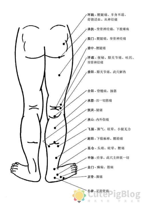 完整的人体穴位图与功效(果断收藏)插图5 完整的人体穴位图与功效(果断收藏)插图5