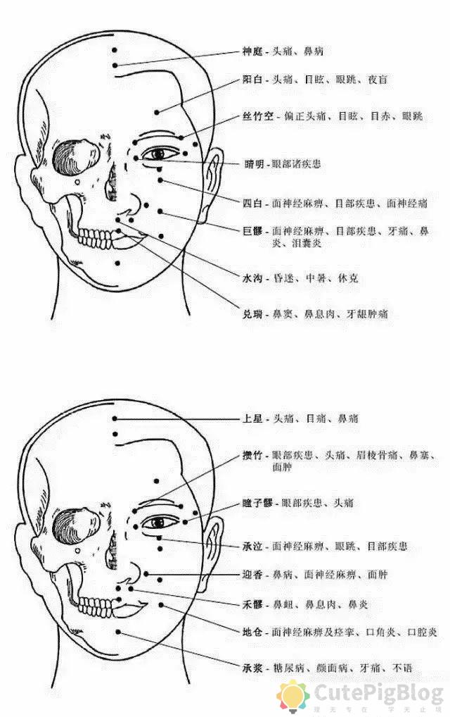 完整的人体穴位图与功效(果断收藏)插图1 完整的人体穴位图与功效(果断收藏)插图1
