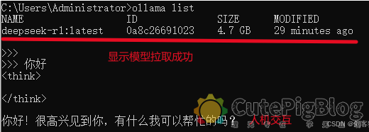 deepseek-r1本地部署和企业知识库搭建插图9 deepseek-r1本地部署和企业知识库搭建插图9