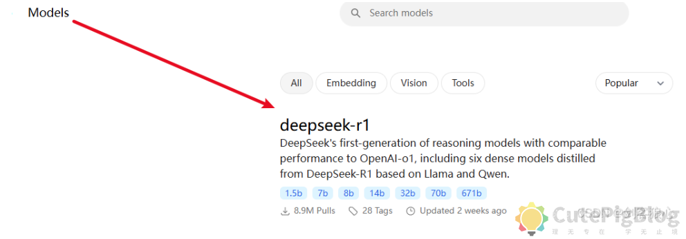 deepseek-r1本地部署和企业知识库搭建插图6 deepseek-r1本地部署和企业知识库搭建插图6